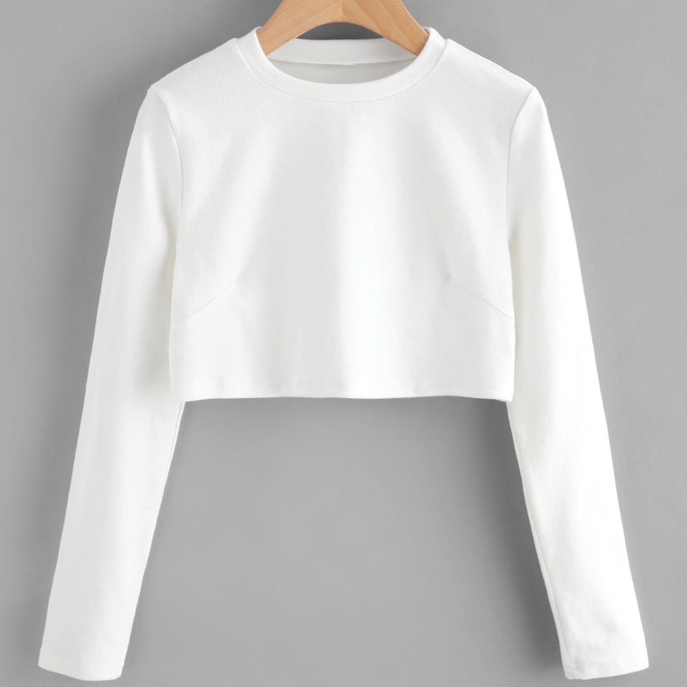 White Crew Neck Long Sleeve Crop Top
